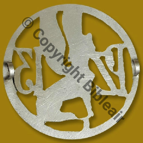 509 1924.32 A1350NH 13eDRILLE 36eGA PAU SM 2Anneaux Dos lisse irreg Brillant type Inox Src.A.DENIS_droits_reserves 